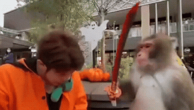 Man Standing Next To Monkey With Sword GIF