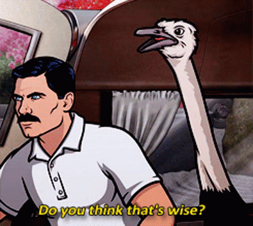 Man Standing Next To Ostrich Do You Think That's Wise GIF