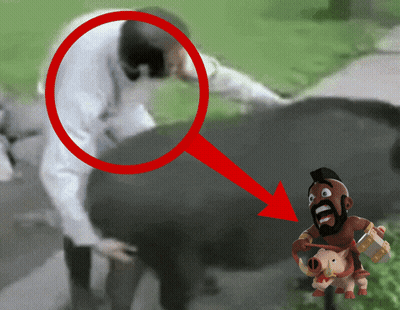 Man Standing Next To Pig With Arrow GIF