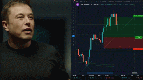 Man Standing Next To Screen Saying Kiwigo GIF