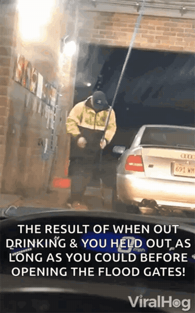 Man Standing Next To Silver Car With License Plate 691 WM GIF