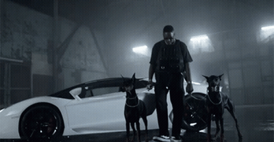 Man Standing Next To Two Dogs GIF