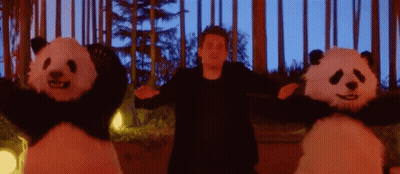 Man Standing Next To Two Panda Bears GIF
