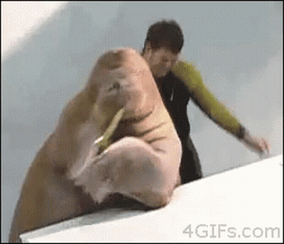 Man Standing Next To Walrus Eating Meat GIF