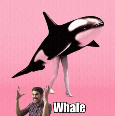 Man Standing Next To Whale Carrying Woman's Legs GIF