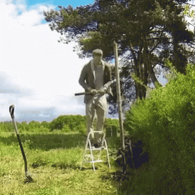 Man Standing On Ladder In Grassy Field GIF