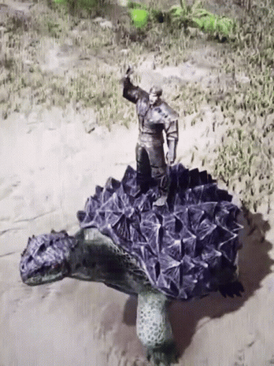 Man Standing On Large Turtle GIF