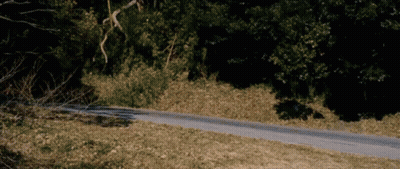 Man Standing On Sidewalk Holding Water And Cookies GIF