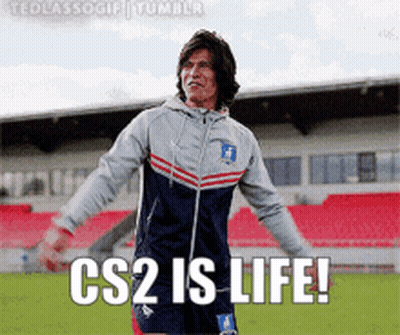 Man Standing On Soccer Field CS2 Is Life GIF