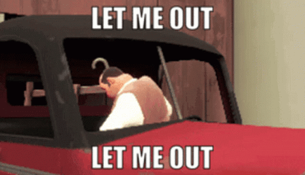 Man Stock In The Car Let Me Out GIF