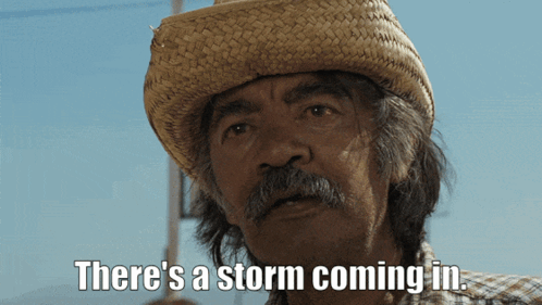 Man Straw Hat Plaid Shirt Says Storm Coming GIF