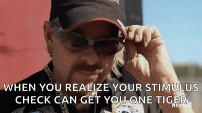 Man Sunglasses Hat Stimulus Check Gets One Tiger GIF