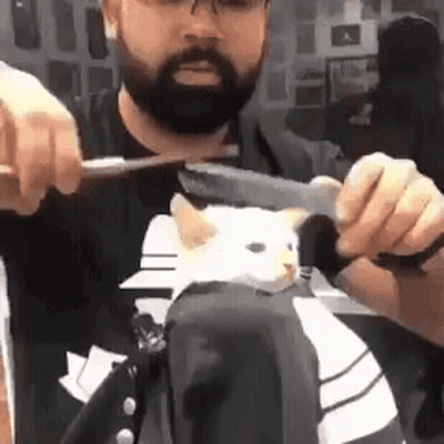 Man Sunglasses Somebody Got A Haircut Shirt Fence GIF