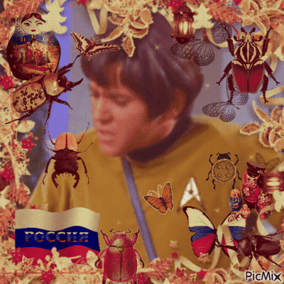Man Surrounded By Beetles And Butterflies With Russian Flag GIF