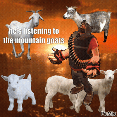 Man Surrounded By Goats Listening To The Mountain Goats GIF