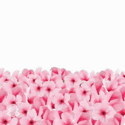 Man Surrounded By Pink Flowers Saying New York Giants GIF