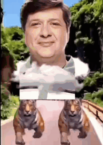 Man Surrounded by Two Tigers