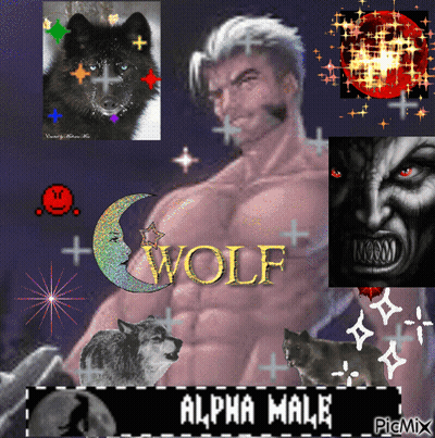 Man Surrounded By Wolves Saying Wolf GIF