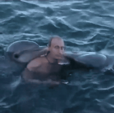 Man Swimming In Ocean With Dolphin GIF