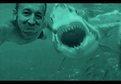 Man Swimming In Ocean With Shark GIF