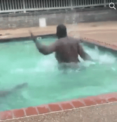 Man Swimming In Pool With Shark GIF