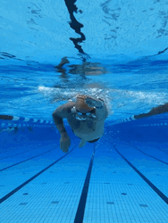 Man Swimming Training GIF