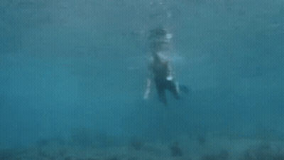 Man Swimming Underwater With Flippers GIF
