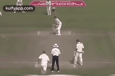 Man Swinging Cricket Bat GIF