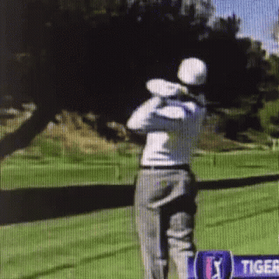 Man Swinging Golf Club In Front Of Tiger Sign GIF