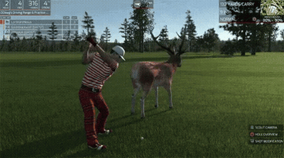 Man Swinging Golf Club While Deer Looks On GIF