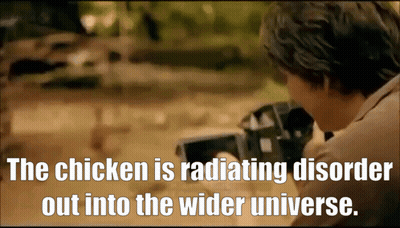 Man Taking Picture Of Chicken Radiating Disorder GIF