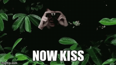 Man Taking Picture Of Tree Saying Now Kiss GIF