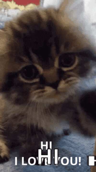 Man Talking Into Microphone Saying This Is What I'm Talking About GIF