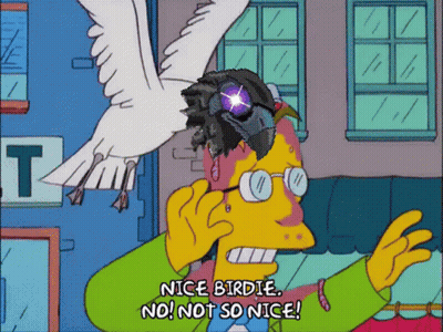 Man Talking On Cell Phone Nice Birdie No Not So Nice GIF