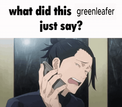 Man Talking On Phone Saying What GIF