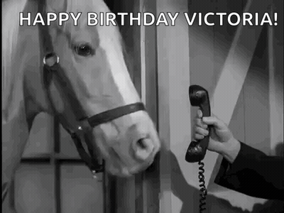 Man Talking On Phone To Horse GIF