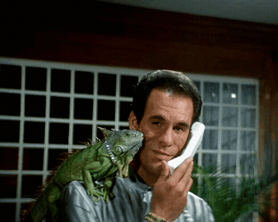 Man Talking On Phone With Lizard On Shoulder GIF