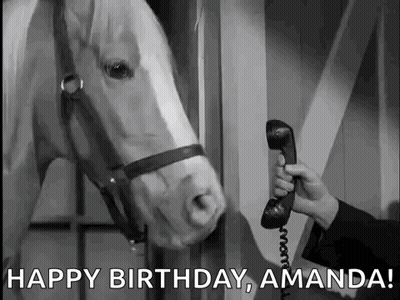 Man Talking On Telephone With Horse GIF