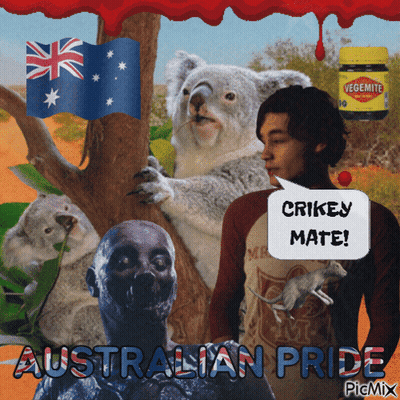 Man Talking To Koala Bear And Vegemite GIF