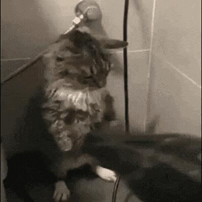 Man Talking With Because Im Dangerous GIF