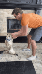 Man Teaching His Cat To Dance