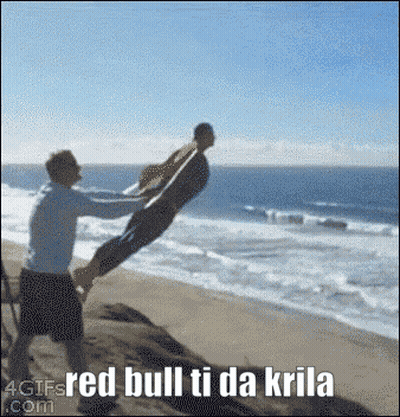 Man Throwing Another Man In Air On Beach GIF