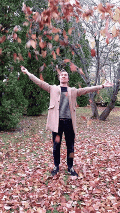 Man Throwing Leaves In Park GIF
