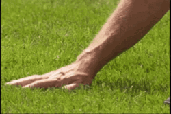 Man Touching Grass GIF