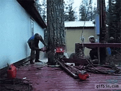 Man Using Chainsaw To Cut Tree GIF