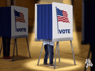 Man Voting In Booth GIF