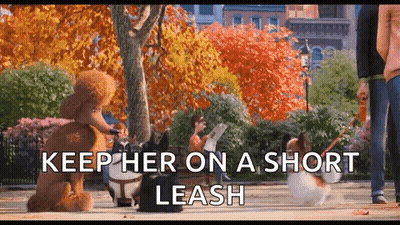 Man Walking Dog On Leash In Park With Poodle GIF