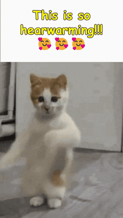 Man Walking Down Hallway Dogs And Rail Gun GIF