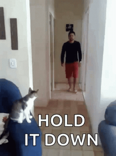 Man Walking Down Hallway While Cat Sits On Couch Saying Hold It Down GIF