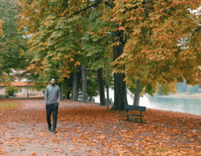 Man Walking Down Park Path With Trees And Leaves GIF